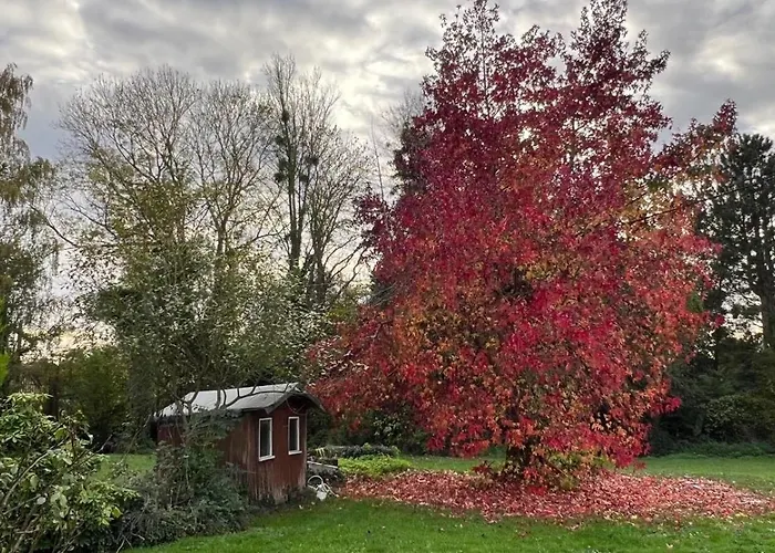 Prázdninový dům La Picane - Belle Maison Avec Piscine Et Jardin *